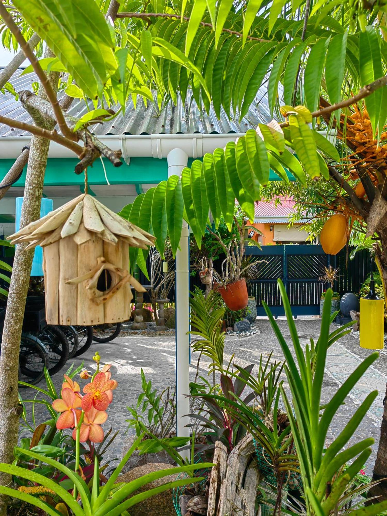 Villa Charme De L'Ile La Digue Exteriér fotografie