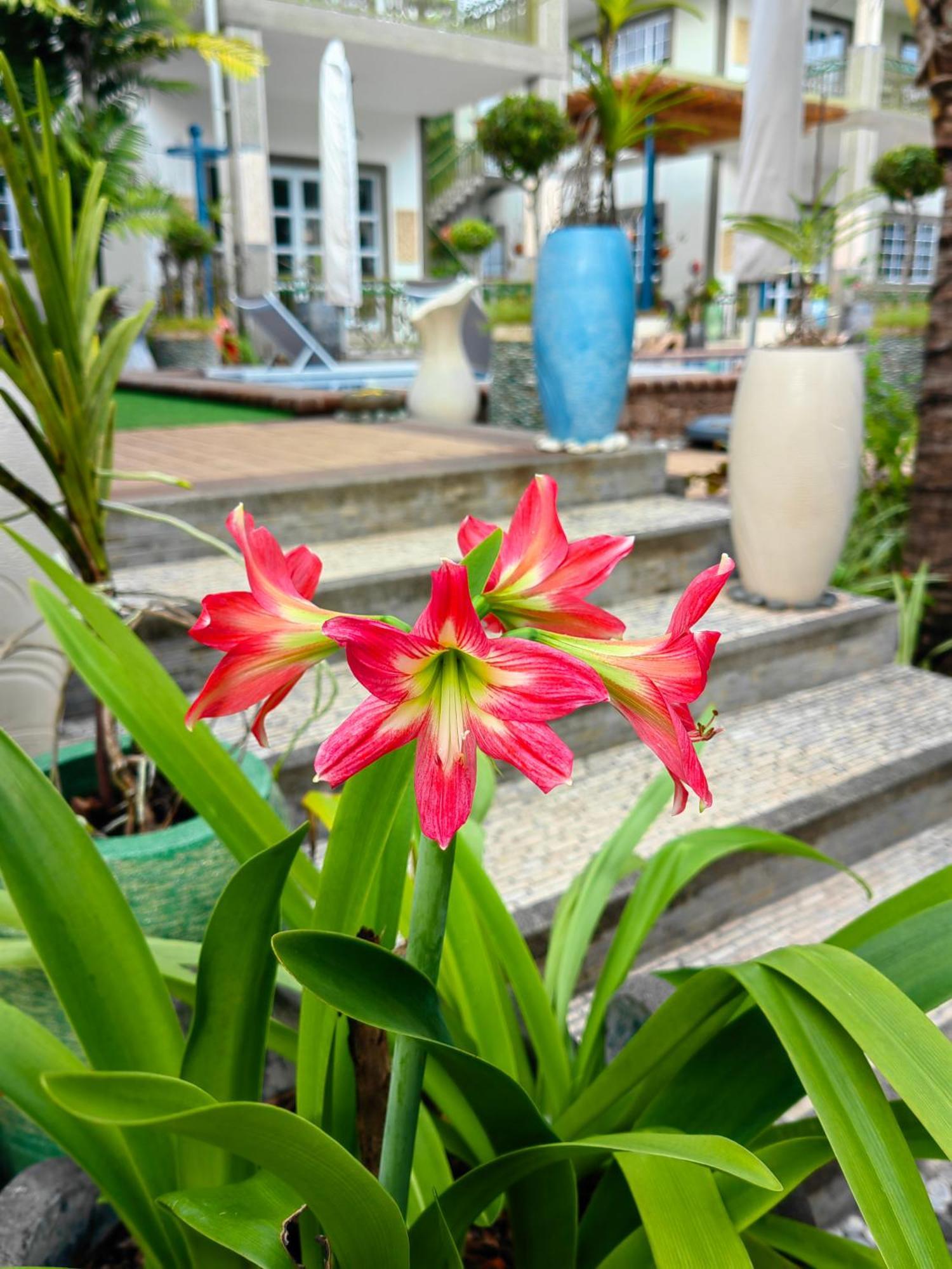 Villa Charme De L'Ile La Digue Exteriér fotografie